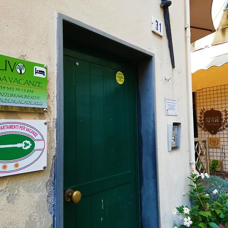 Casa Vacanza L'Ulivo ألبينغا المظهر الخارجي الصورة